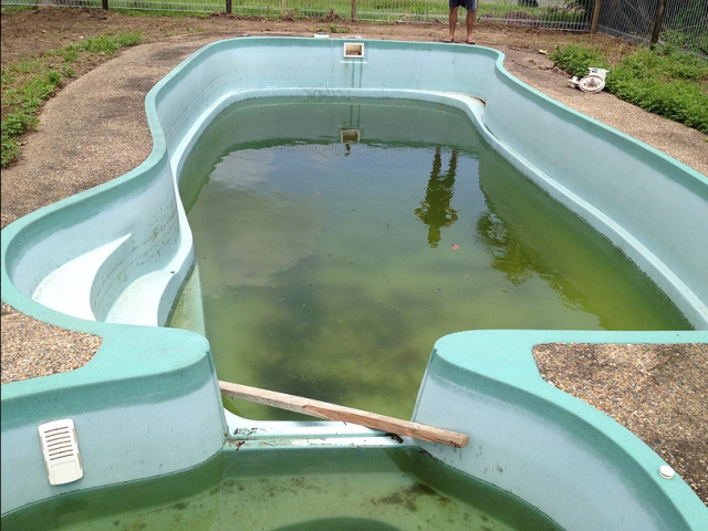 reliable fibreglass pool repair